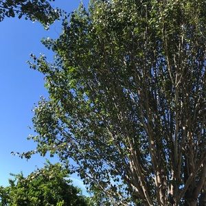 Meet your Posher, Maribel